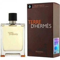 TERRE D`HERMES TOILETTE 100ml M